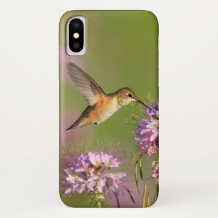Etui iPhone Case-Mate Colibri