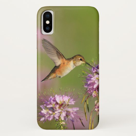 Coques Case-Mate iPhone Colibri (Dos)
