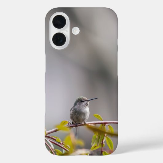 Coques Case-Mate iPhone Colibri 3346 (Verso)