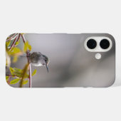 Coques Case-Mate iPhone Colibri 3346 (Verso (horizontal))