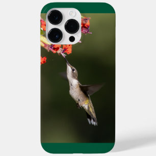 Coque Pour Pour iPhone 14 Pro Max Colibri à gorge rubis