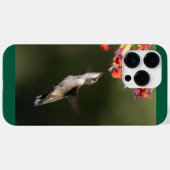 Coques Case-Mate iPhone Colibri à gorge rubis (Verso (horizontal))