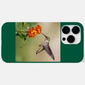Coques Case-Mate iPhone Colibri à gorge rubis (Verso (horizontal))