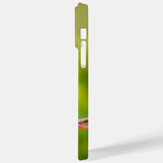 Coques Case-Mate iPhone Colibri à gorge rubis (Verso / Gauche)