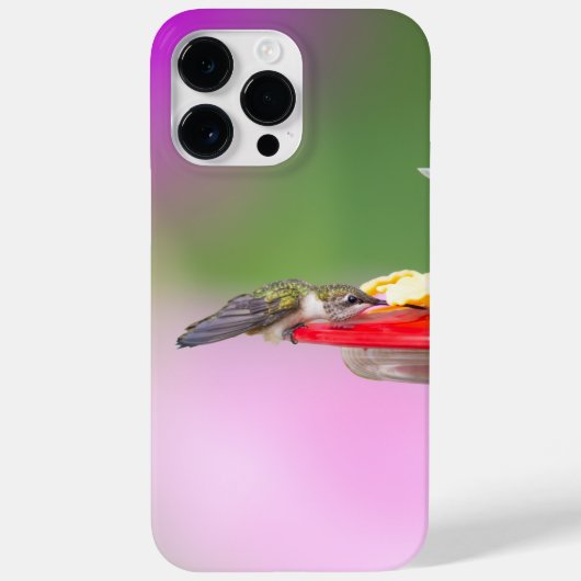 Coques Case-Mate iPhone Colibri à gorge rubis (Verso)