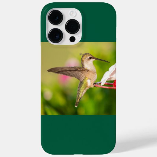 Coques Case-Mate iPhone Colibri à gorge rubis (Verso)