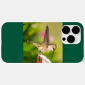 Coques Case-Mate iPhone Colibri à gorge rubis (Verso (horizontal))