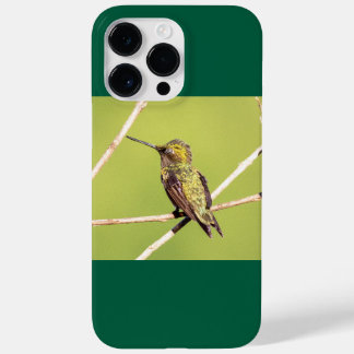 Coque Pour Pour iPhone 14 Pro Max Colibri à gorge rubis