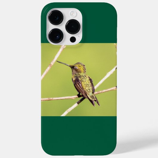 Coques Case-Mate iPhone Colibri à gorge rubis (Verso)