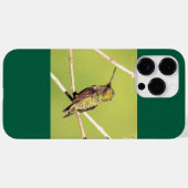 Coques Case-Mate iPhone Colibri à gorge rubis (Verso (horizontal))