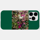 Coques Case-Mate iPhone Colibri à gorge rubis (Verso (horizontal))
