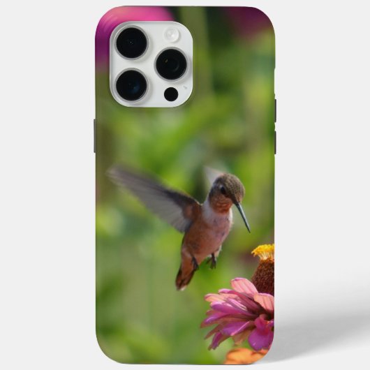 Coques Case-Mate iPhone Colibri aux fleurs de Zinnnia (Verso)