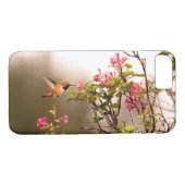 Coques Case-Mate iPhone Colibri et fleurs (Dos (Horizontal))