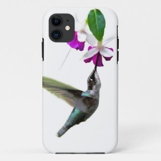 Coque iPhone 11 Colibri et Fuschia