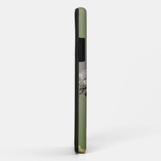 Coques Case-Mate iPhone Colibri sur pin (Dos/Droite)