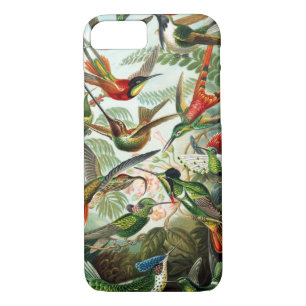 Coques Pour iPhone Colibris par Ernst Haeckel