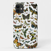 Collage des papillons de nuit et des papillons de 