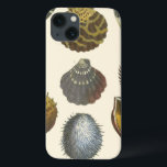 Coques Pour iPhone Collection Conchology<br><div class="desc">Si vous ne pouvez pas vous rendre à la plage aujourd'hui, obtenez cette image de style classique de cette image unique de la vie marine par Albertus Seba! Imaginez-vous sur une plage à la découverte d'anémones marins que la nature a à offrir. Ces coquillages et plantes de mer au bord...</div>