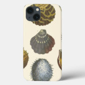 Coques Case-Mate iPhone Collection Conchology (Verso)