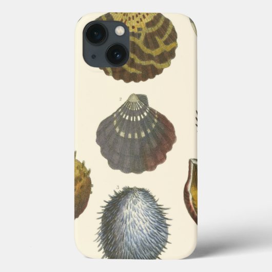 Coques Case-Mate iPhone Collection Conchology (Verso)