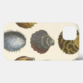 Coques Case-Mate iPhone Collection Conchology (Verso (horizontal))