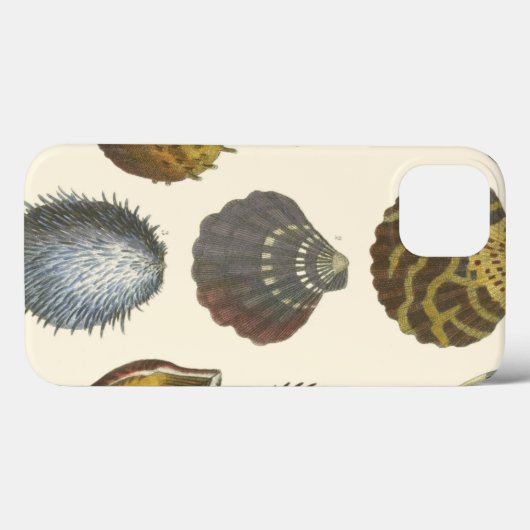 Coques Case-Mate iPhone Collection Conchology (Verso (horizontal))