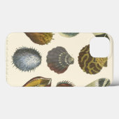Coques Case-Mate iPhone Collection Conchology (Verso (horizontal))