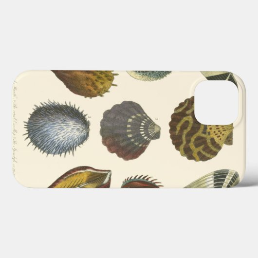 Coques Case-Mate iPhone Collection Conchology (Verso (horizontal))
