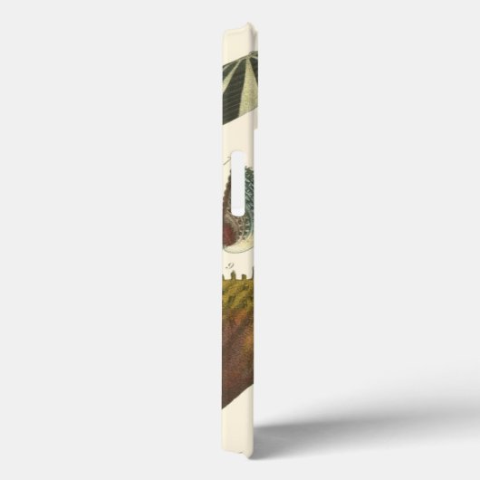 Coques Case-Mate iPhone Collection Conchology (Verso / Droite)