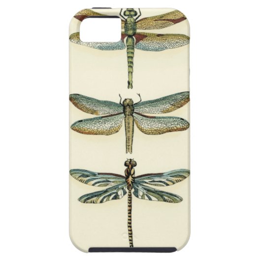Coques Case-Mate iPhone Collection de libellules par Chariklia Zarris (Dos)