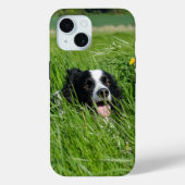 Coques Case-Mate iPhone Collie noir et blanc en herbe (Verso)