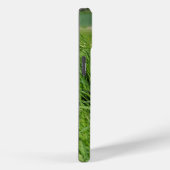 Coques Case-Mate iPhone Collie noir et blanc en herbe (Verso / Droite)