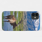 Coques Case-Mate iPhone Colorado Rocky Mountains Elk (Dos (Horizontal))