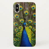 Coques Case-Mate iPhone Colorful peacock (Dos)