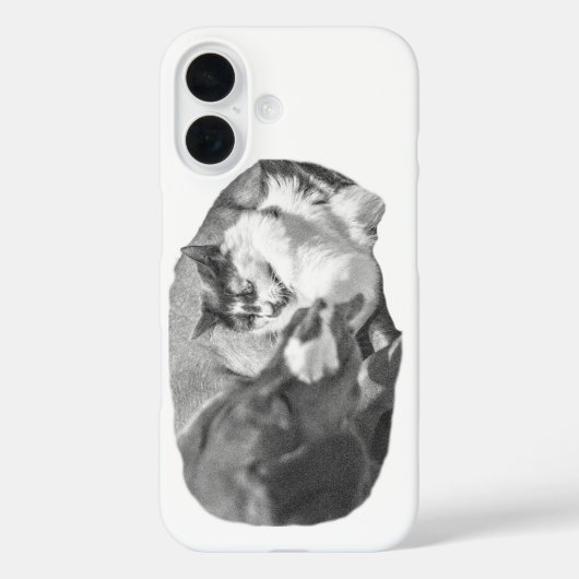 Coques Case-Mate iPhone Compagnons de porche ombragés (Verso)
