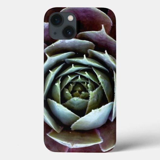 Coques Case-Mate iPhone Complément Succulent pourpre (Verso)