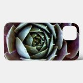 Coques Case-Mate iPhone Complément Succulent pourpre (Verso (horizontal))