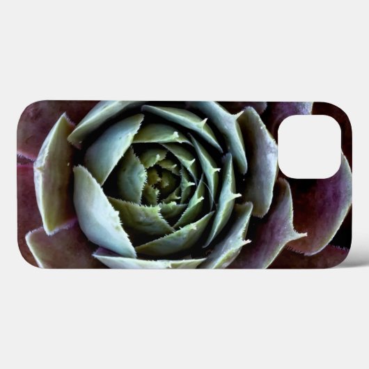 Coques Case-Mate iPhone Complément Succulent pourpre (Verso (horizontal))