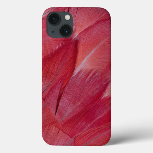 Coques Case-Mate iPhone Conception de plume de perroquet de gris africain (Verso)