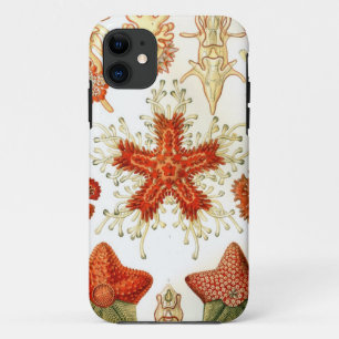 Etui iPhone Case-Mate Conceptions communes d'étoiles de mer