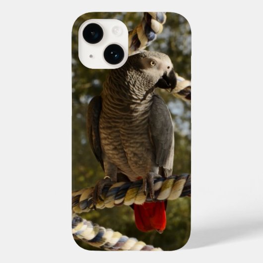 Coques Case-Mate iPhone Congo African Grey sur un Coque-Mate -Mate iPhone (Verso)