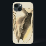 Coques Pour iPhone Conque vintage Shell de sépia<br><div class="desc">Vous pouvez entendre l'océan des ces coquillage de conque bruyant et clair ! Si vous êtes soumis à une contrainte, décrivez-vous sur la plage sablonneuse chaude. Ces le coquillage de conque sont un grand ?uvre d'art avec un arrière - plan de sépia pour faire l'image se tenir pour être plus...</div>