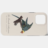 Coques Case-Mate iPhone Conure de Caroline, Conuropsis carolinensis (Verso (horizontal))