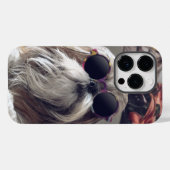 Coques Case-Mate iPhone Cool Shih Tzu cheveux longs Lunettes de soleil vin (Verso (horizontal))