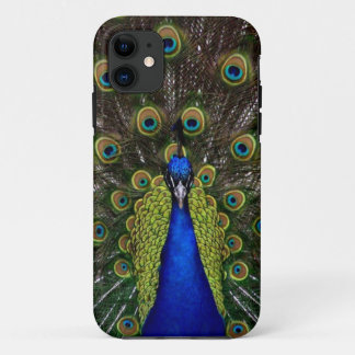 Case-Mate iPhone Case Copie majestueuse lumineuse de nature d'oiseau de
