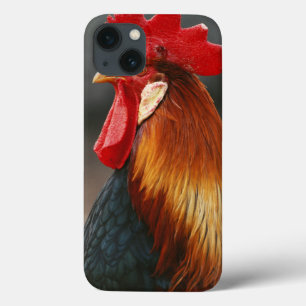 iPhone 13 Case Coq domestique de basse-cour