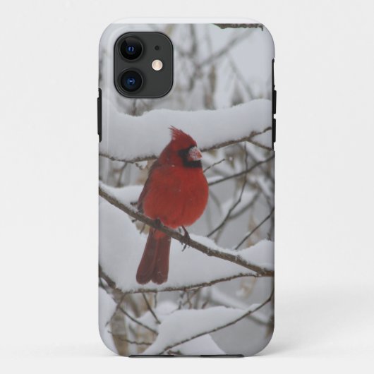 Coques Case-Mate iPhone Coque-compagnon cardinal d'Iphone 5 de nez de (Dos)