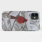 Coques Case-Mate iPhone Coque-compagnon cardinal d'Iphone 5 de nez de (Dos (Horizontal))