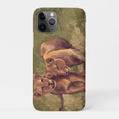 Coques Case-Mate iPhone Coque-coque iphone de Lion Cubs (Dos)