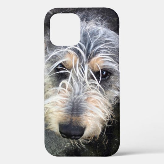 Coques Case-Mate iPhone Coque-coque iphone Mate chien mignon (Verso)